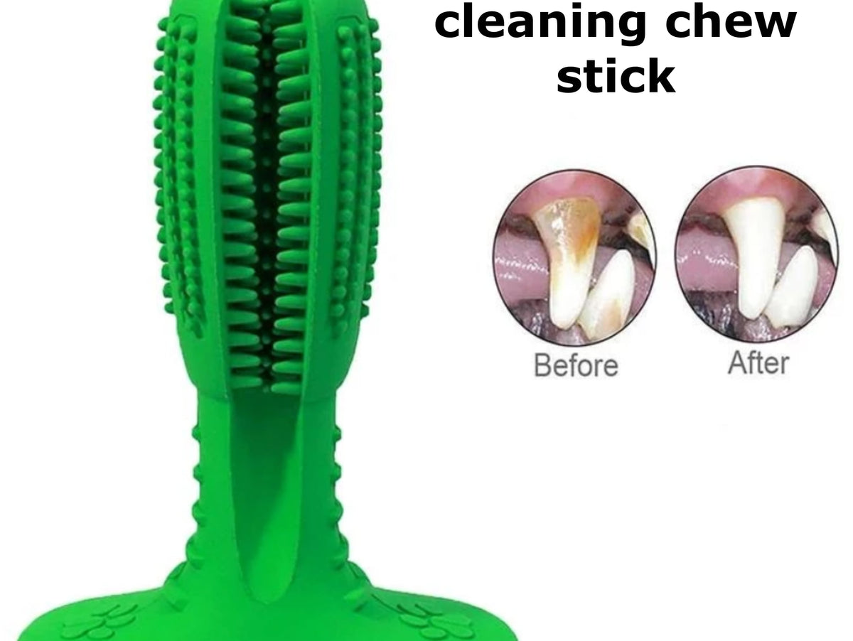 Dog dental chew as part of a wider dental-care routine
