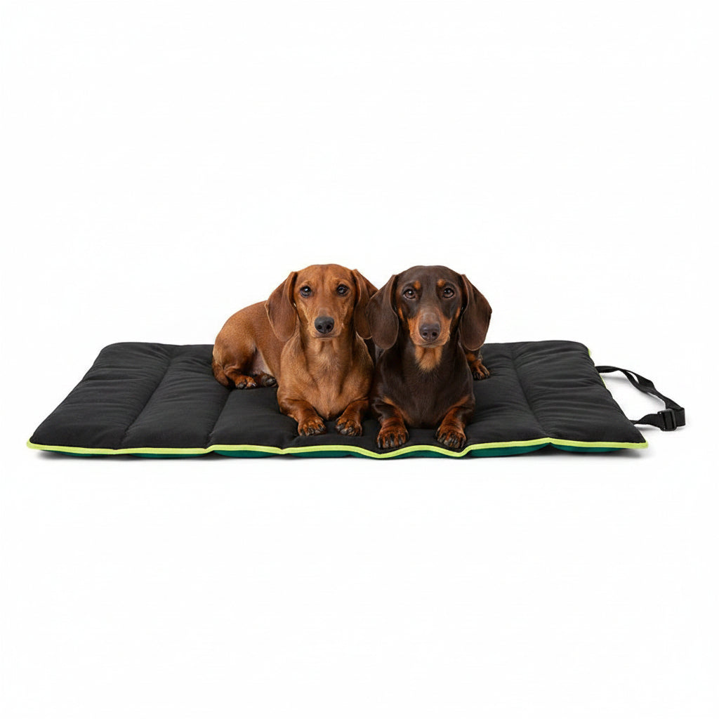 3 Peaks Roll Up Travel Dog Mat Green, featuring 2 dachshunds dogs on it - suitable thinner matt for small dogs with IVDD