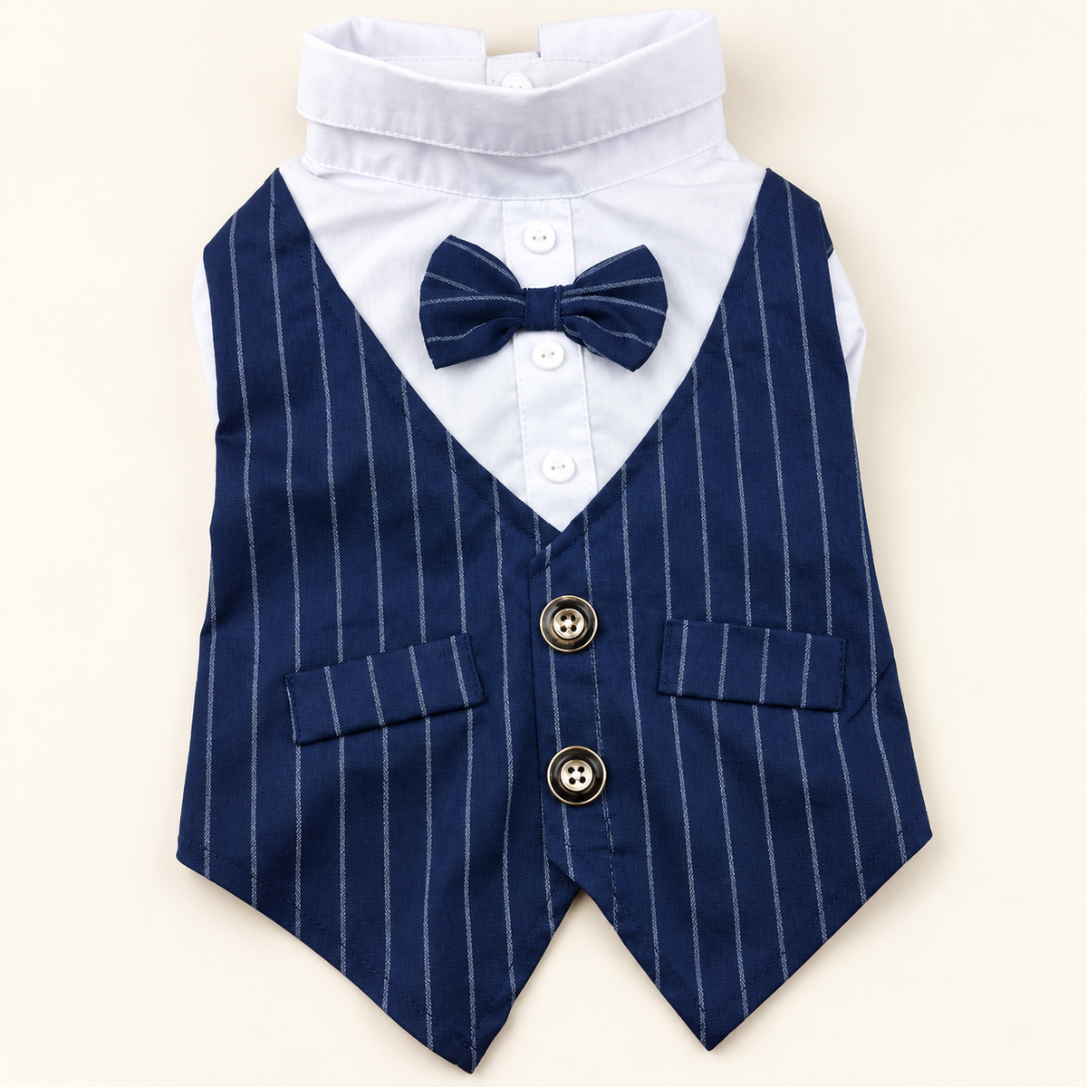 Navy pinstripe dog waistcoat with two buttons, pocket flaps, white shirt front and matching bow tie