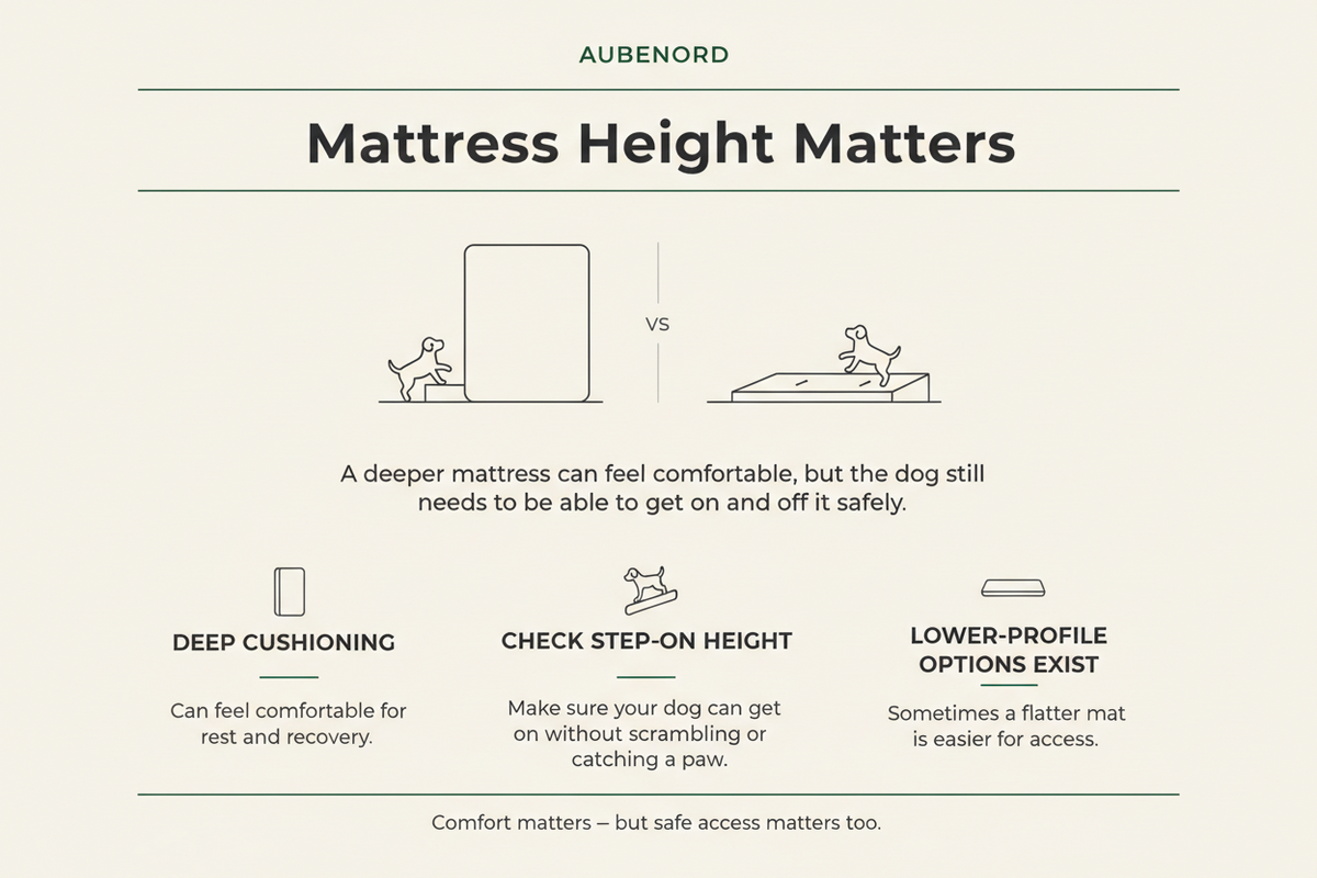 Aubenord educational graphic explaining why mattress height and safe access matter for dogs with mobility needs