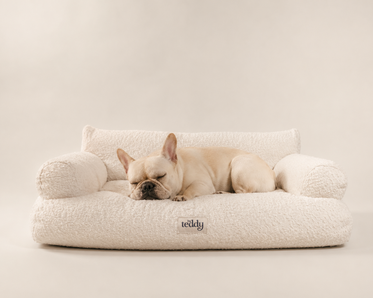 By Teddy Teddington Dog Sofa Bed in Marshmallow bouclé
