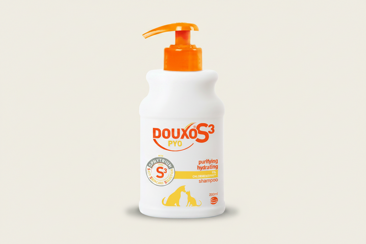 DOUXO S3 PYO chlorhexidine antiseptic shampoo for dogs and cats