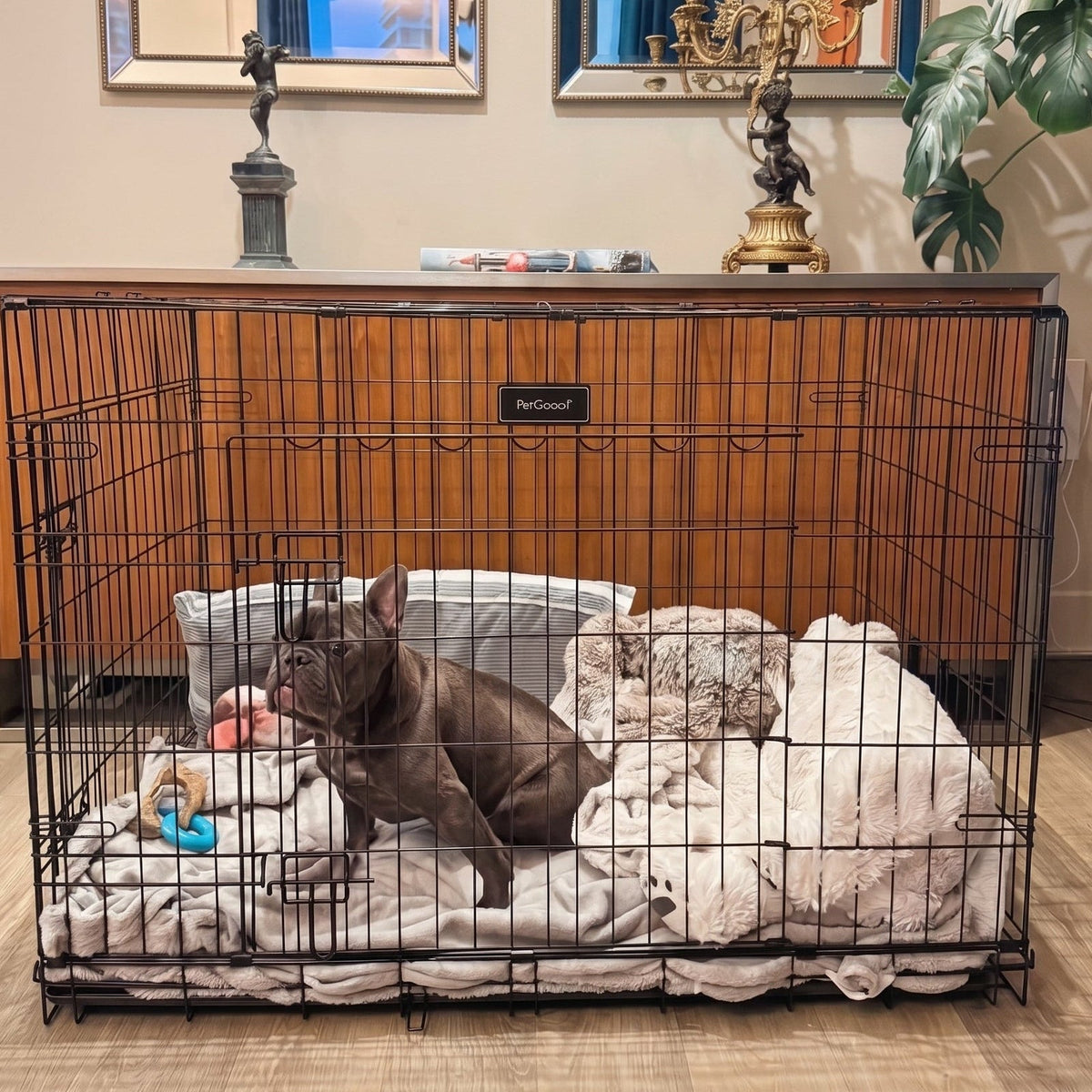 FurDreams 42-inch folding double-door dog crate used in Loui’s recovery setup
