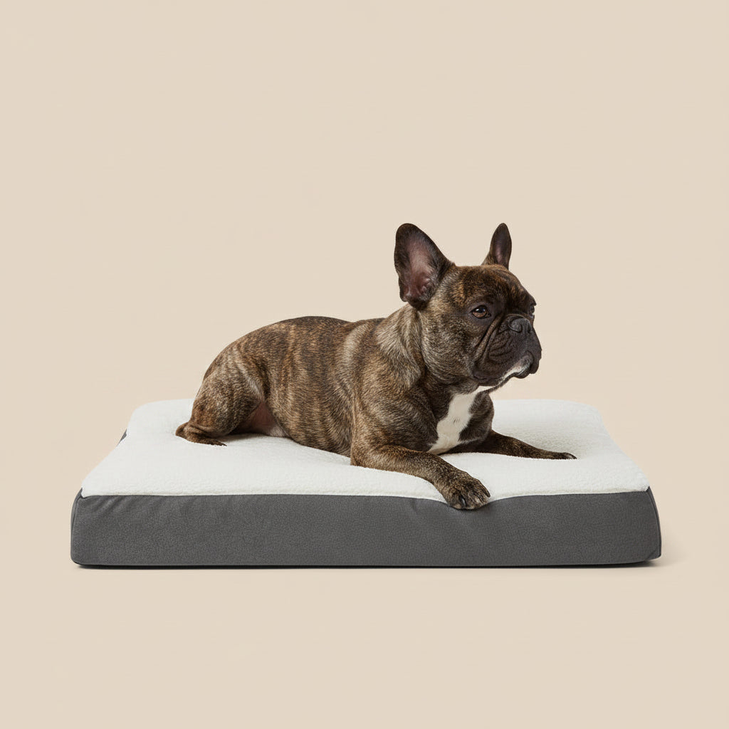 Pets at Home Teddy Dog Mattress Grey official product image
