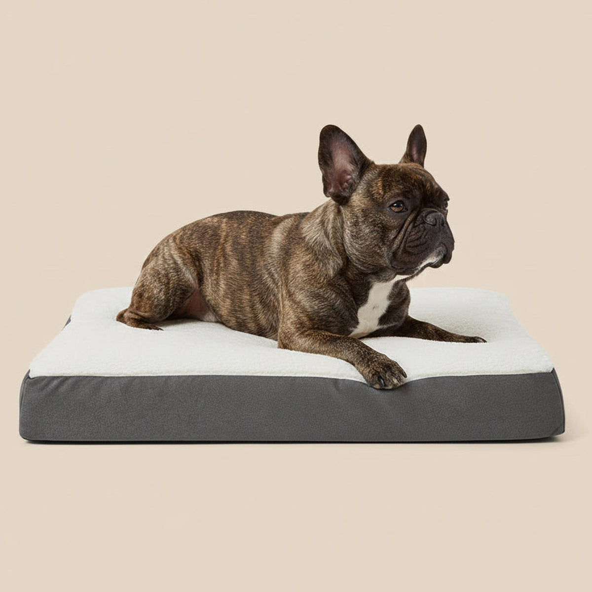 Grey Teddy orthopaedic dog mattress