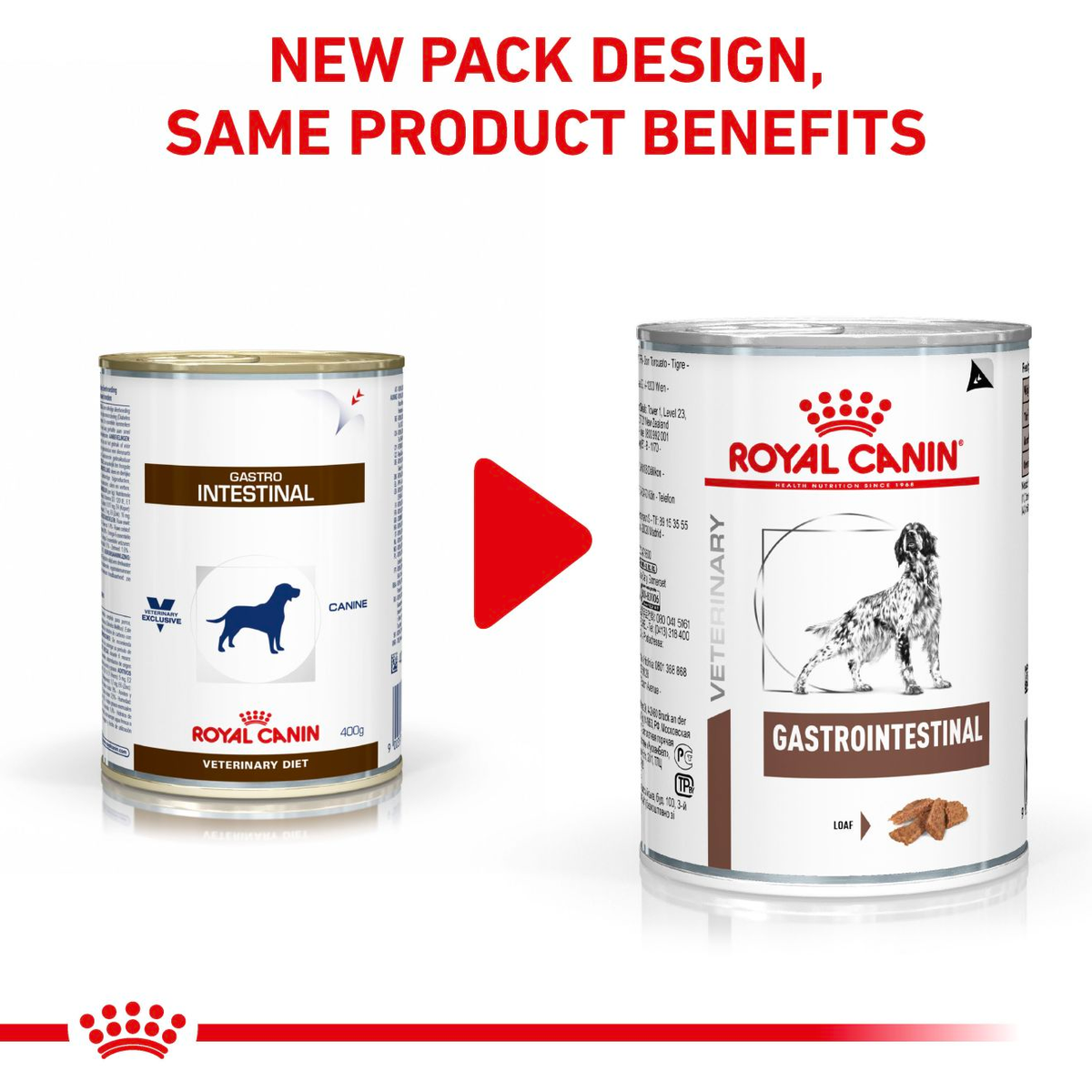 Royal Canin Gastrointestinal Loaf official feeding and product information graphic