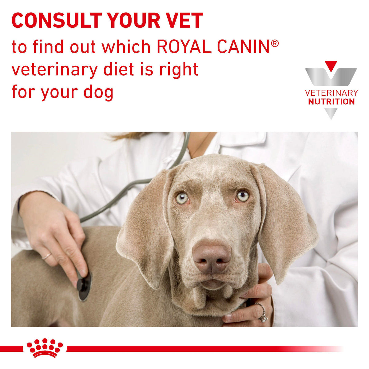 Royal Canin Hypoallergenic Loaf official product image