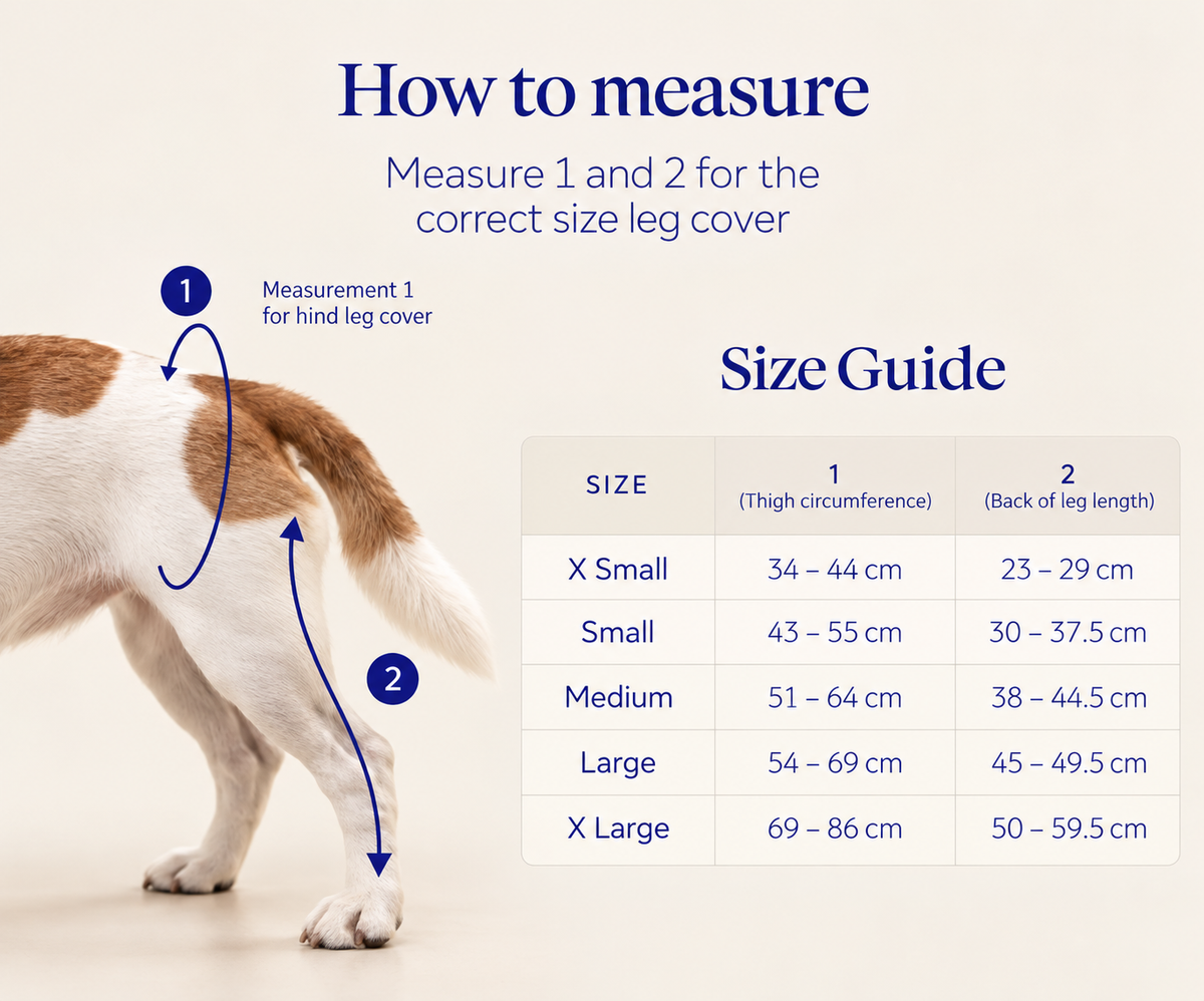 Scandi rear-leg cover size and measuring guide showing rear-leg length and thigh circumference