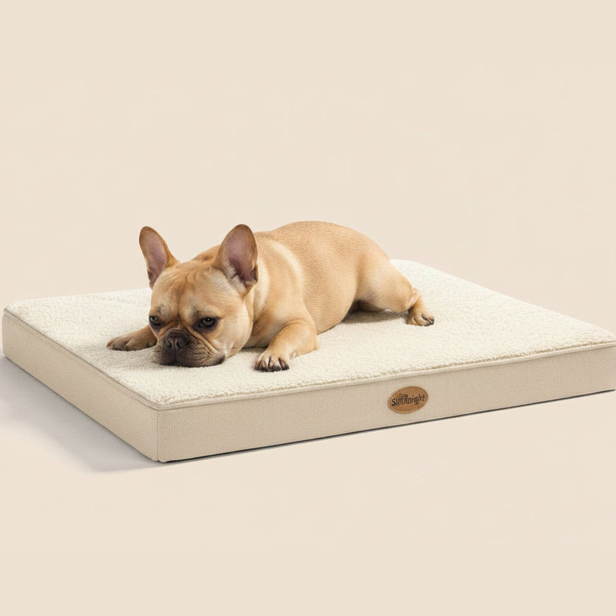 Silentnight Firm Support Pet Crate Mattress with dog lying on the low-profile mattress