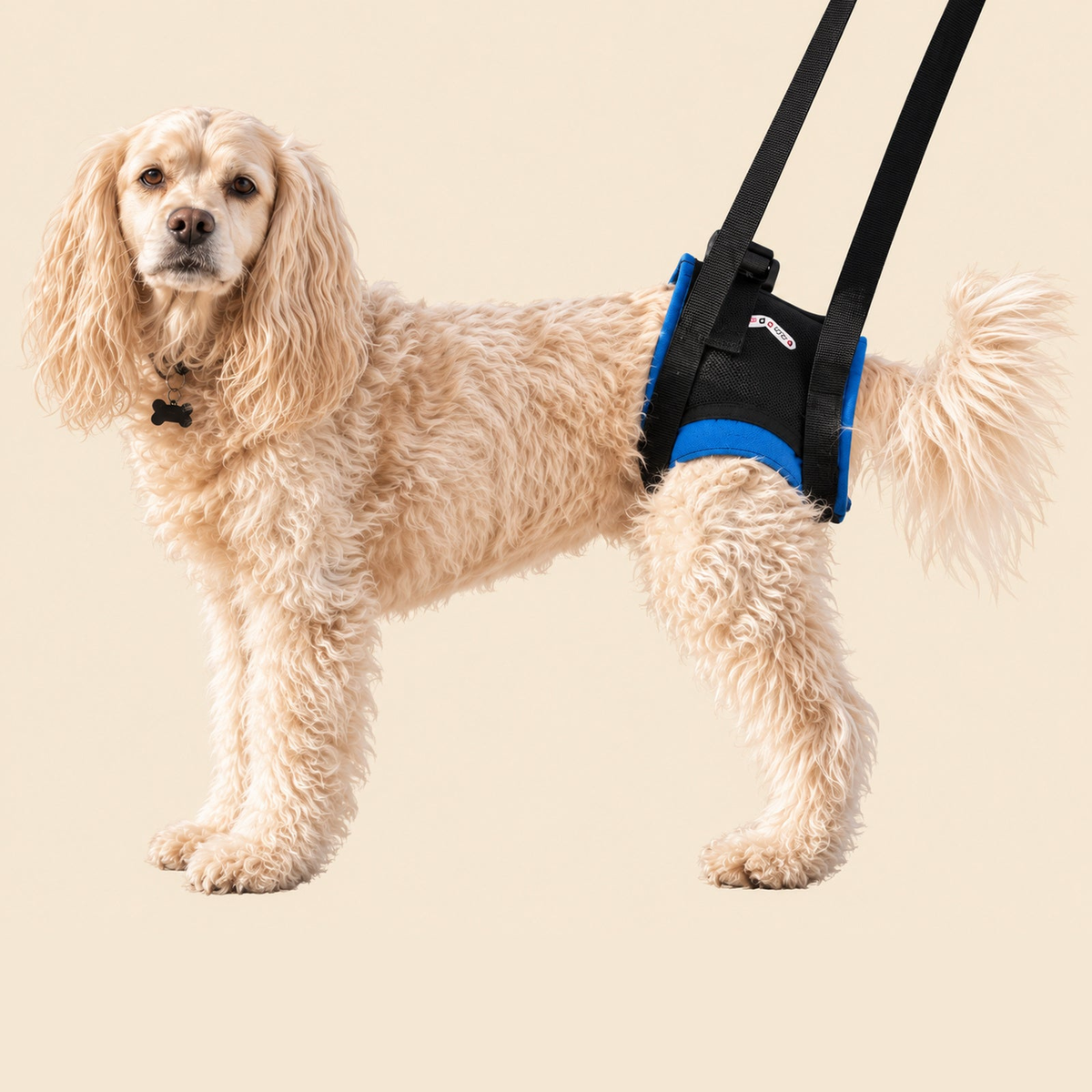 Walkabout Rear Lift Dog Harness for hind-leg support