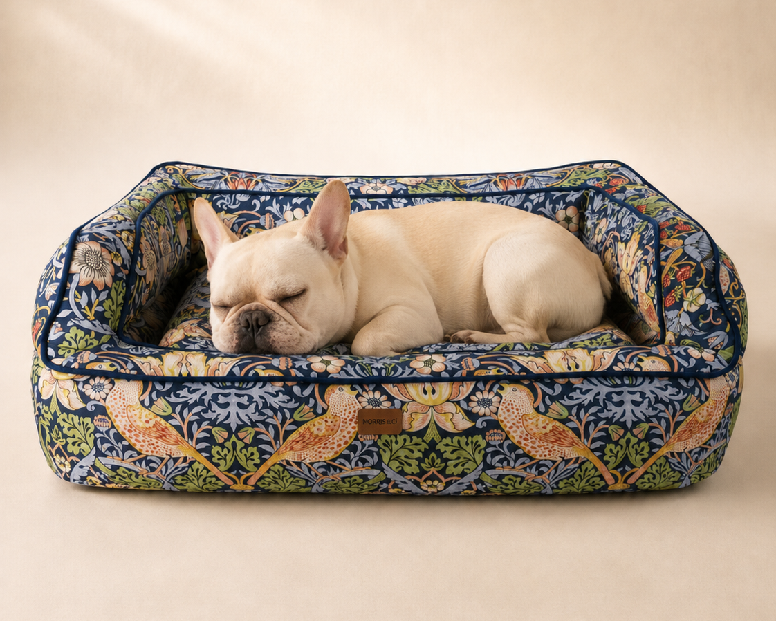 Cream French Bulldog sleeping in a Morris & Co Strawberry Thief pet sofa bed on a warm neutral background
