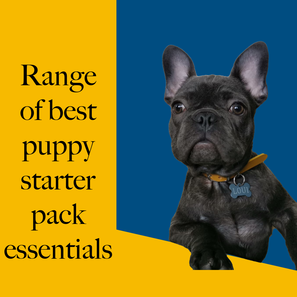 Puppy Starter Pack Selection Of Toys Gift Hamper