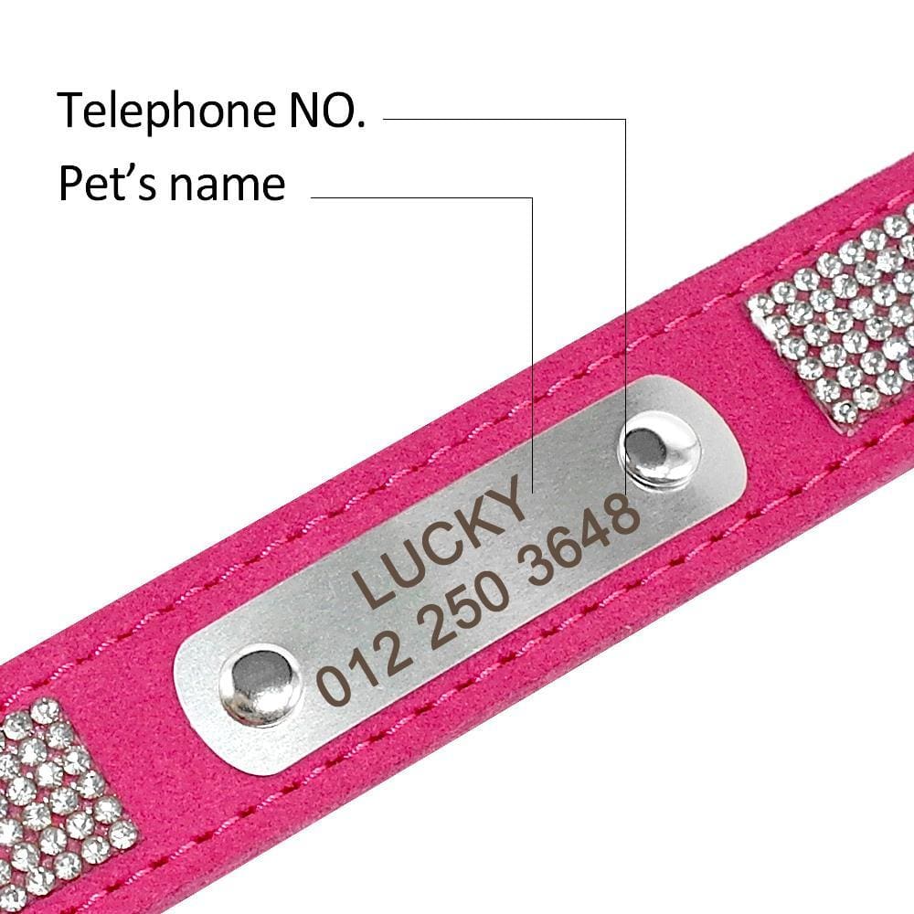 Chelsea Bling Bling Engraved Dog Collar - French bulldog Collar