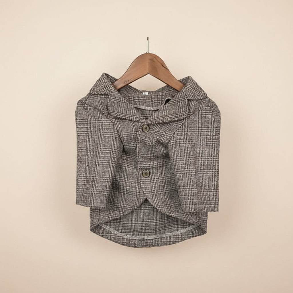 French Bulldog formal jacket option