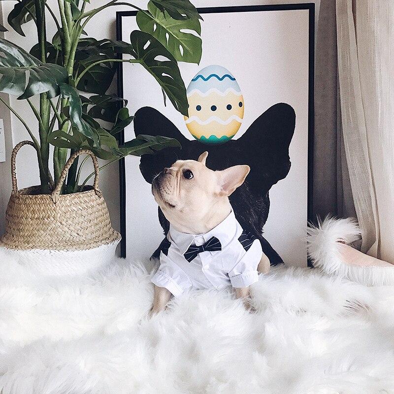 French Bulldog formal outfit product detail