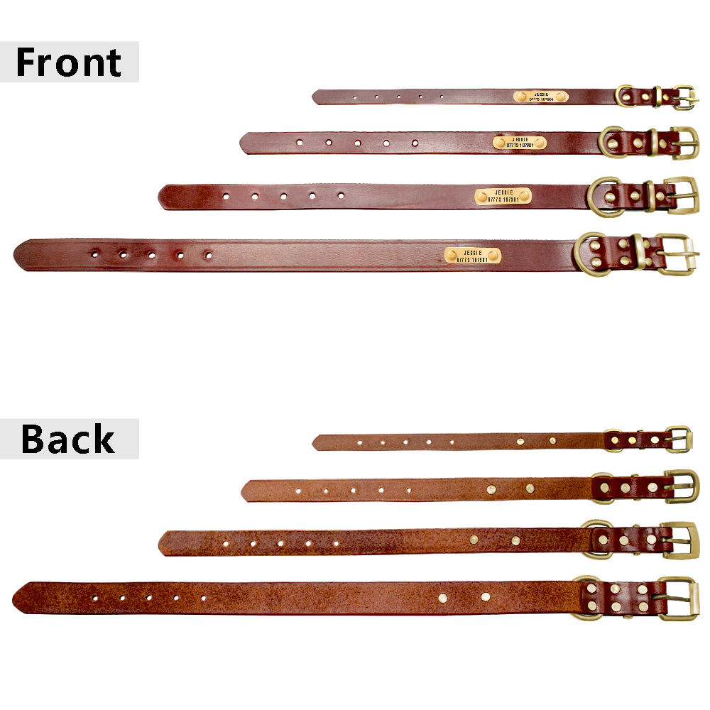 Genuine leather French bulldog collar, available in variety of sizes