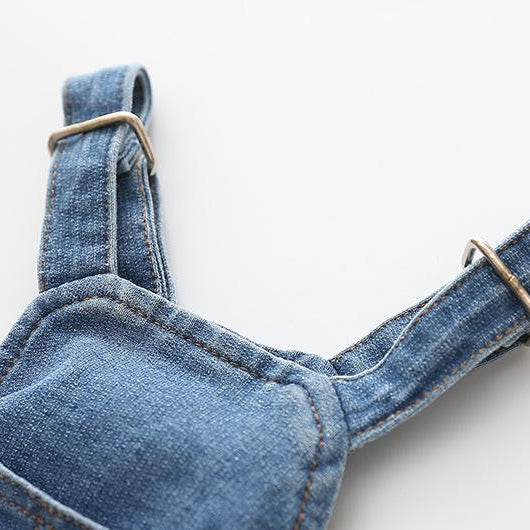 French bulldog pants - Dangeries top view