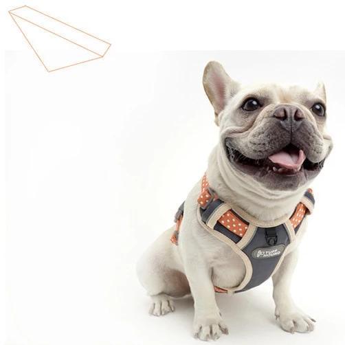 French Bulldog Nylon Harness - Model wearing Pink Colour