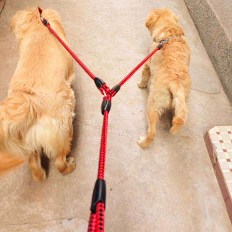 Dual Dog Leash - Red Colour