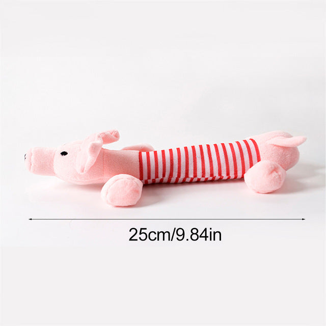 Selection of plush toys for dogs, piggy shape