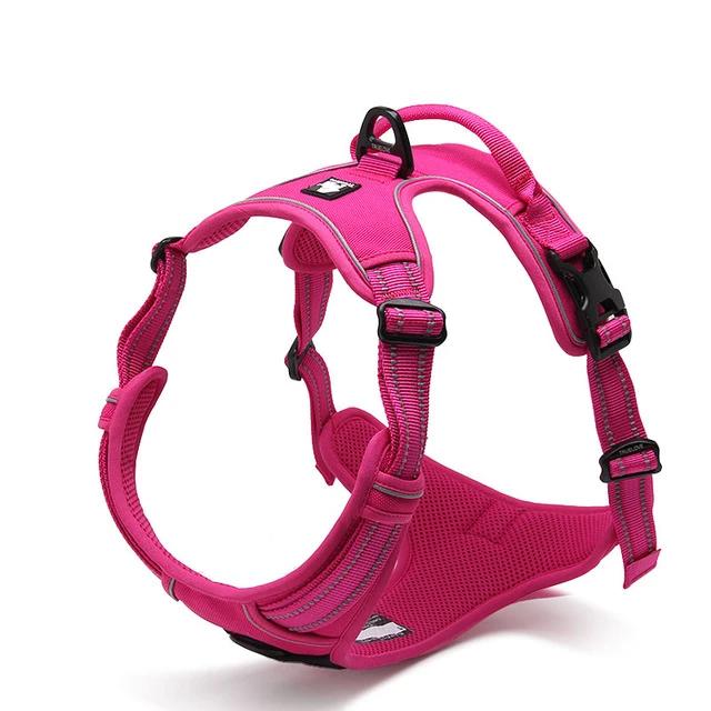All Weather Reflective Nylon French Bulldog Harness - Fuchsia Colour