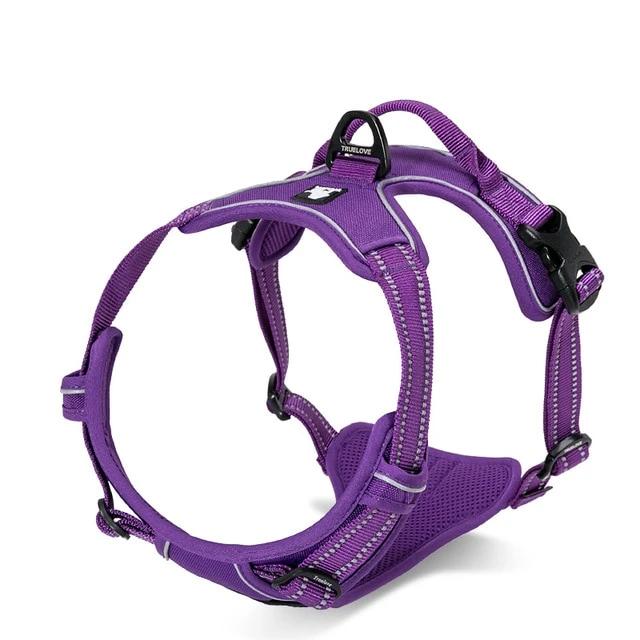 All Weather Reflective Nylon French Bulldog Harness - Purple Colour
