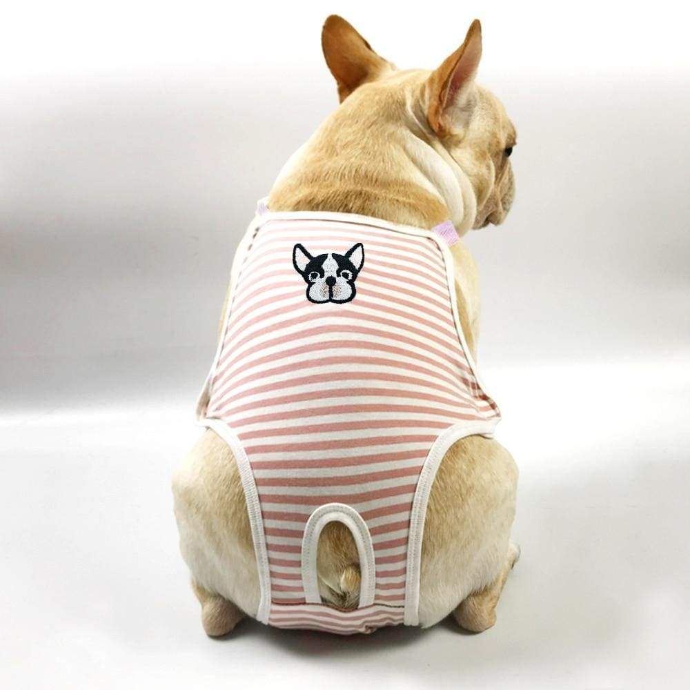 French Bulldog Sanitary Pants