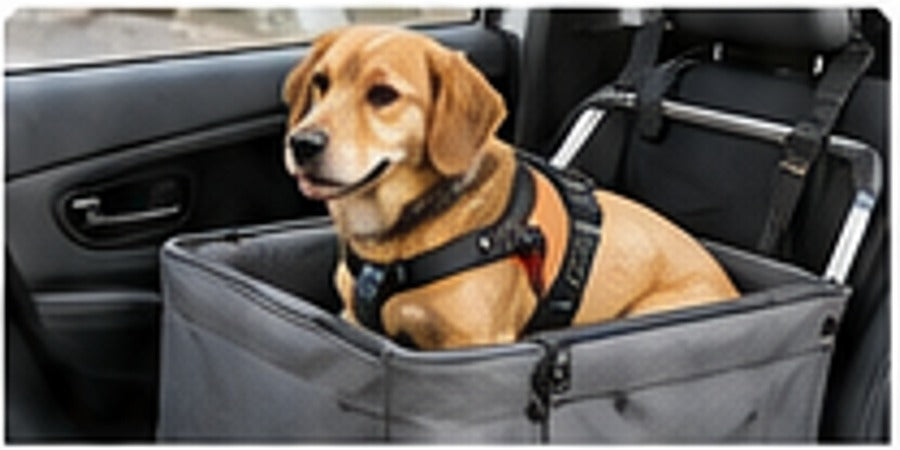 Dog secured in a supportive car travel seat for safer journeys