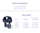 Balto Lux shoulder brace fitted on a dog