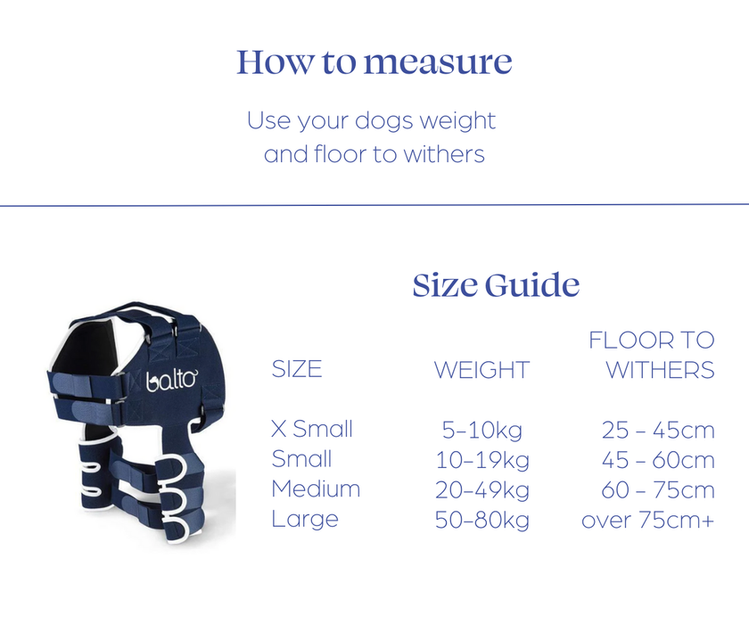 Balto Lux shoulder brace fitted on a dog