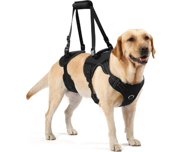 ZOOMA full-body lifting dog harness for front and rear mobility support