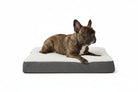 Pets at Home Teddy Dog Mattress Grey official product image