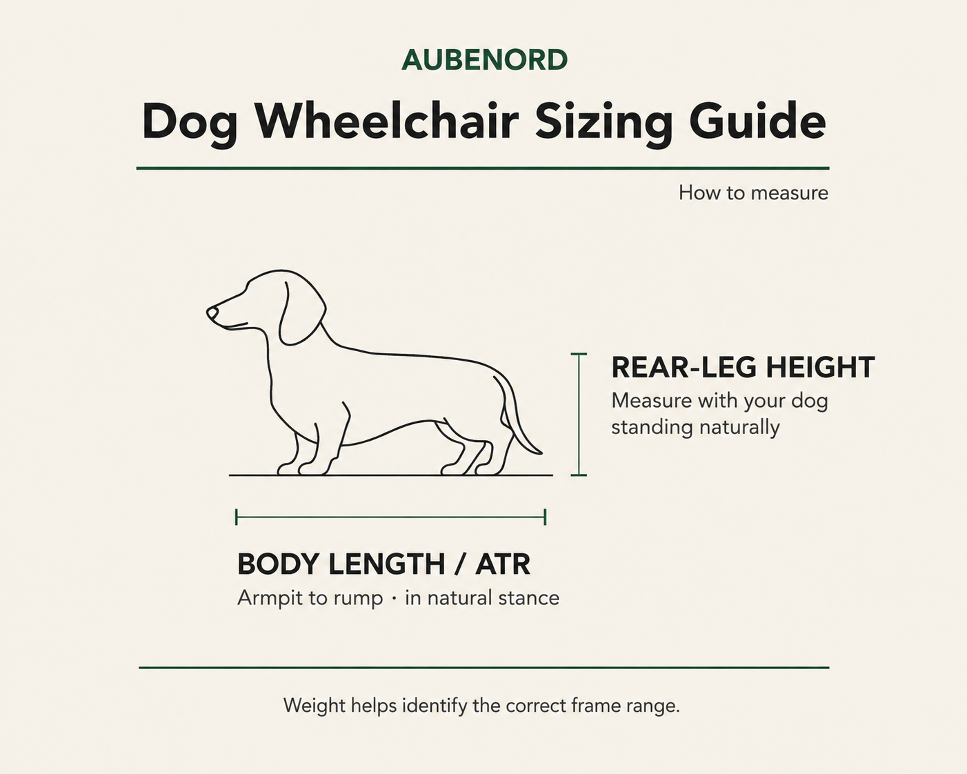 Aubenord dog wheelchair sizing guide showing rear-leg height and body length ATR measurements for small dogs.