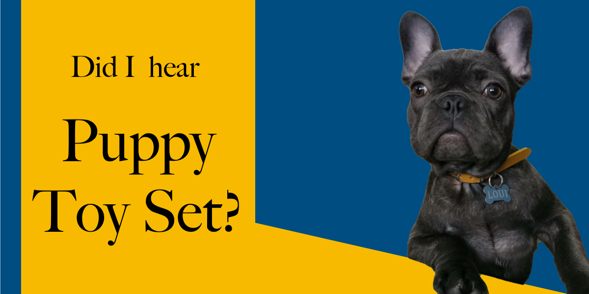 Best Puppy Toy Set