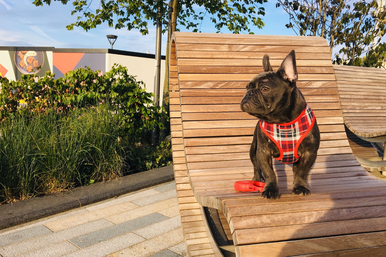 Aubenord Harness Collection