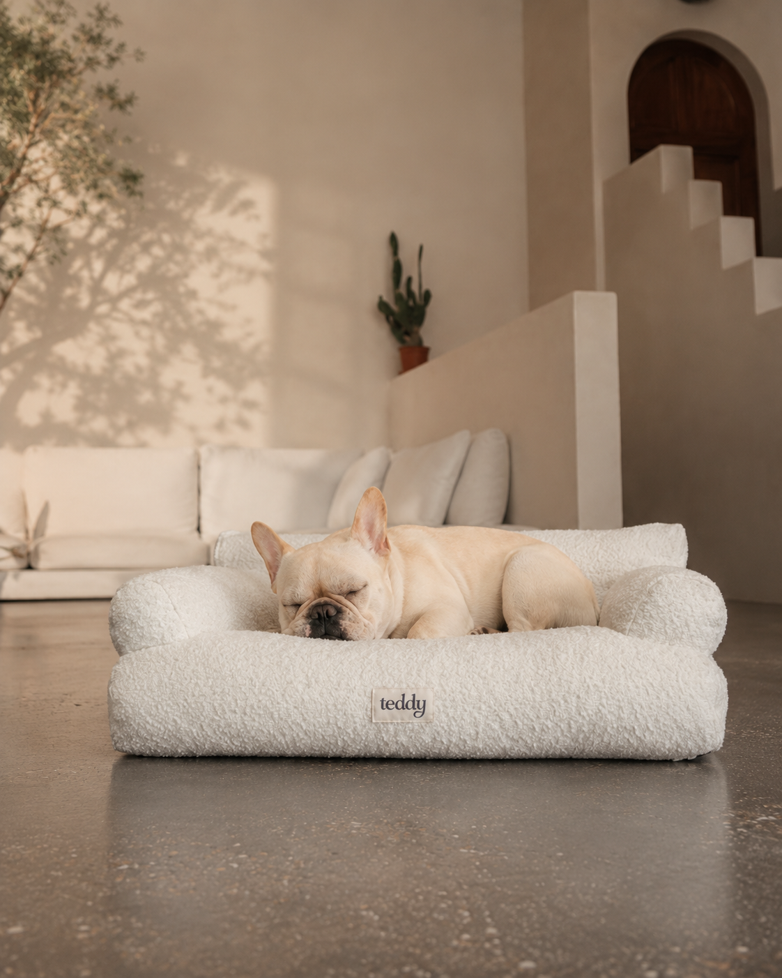 A light cream French Bulldog sleeping soundly in a fluffy, textured off-white dog bed with a small 'teddy' brand label on the front, set in a modern, sunlit living room.