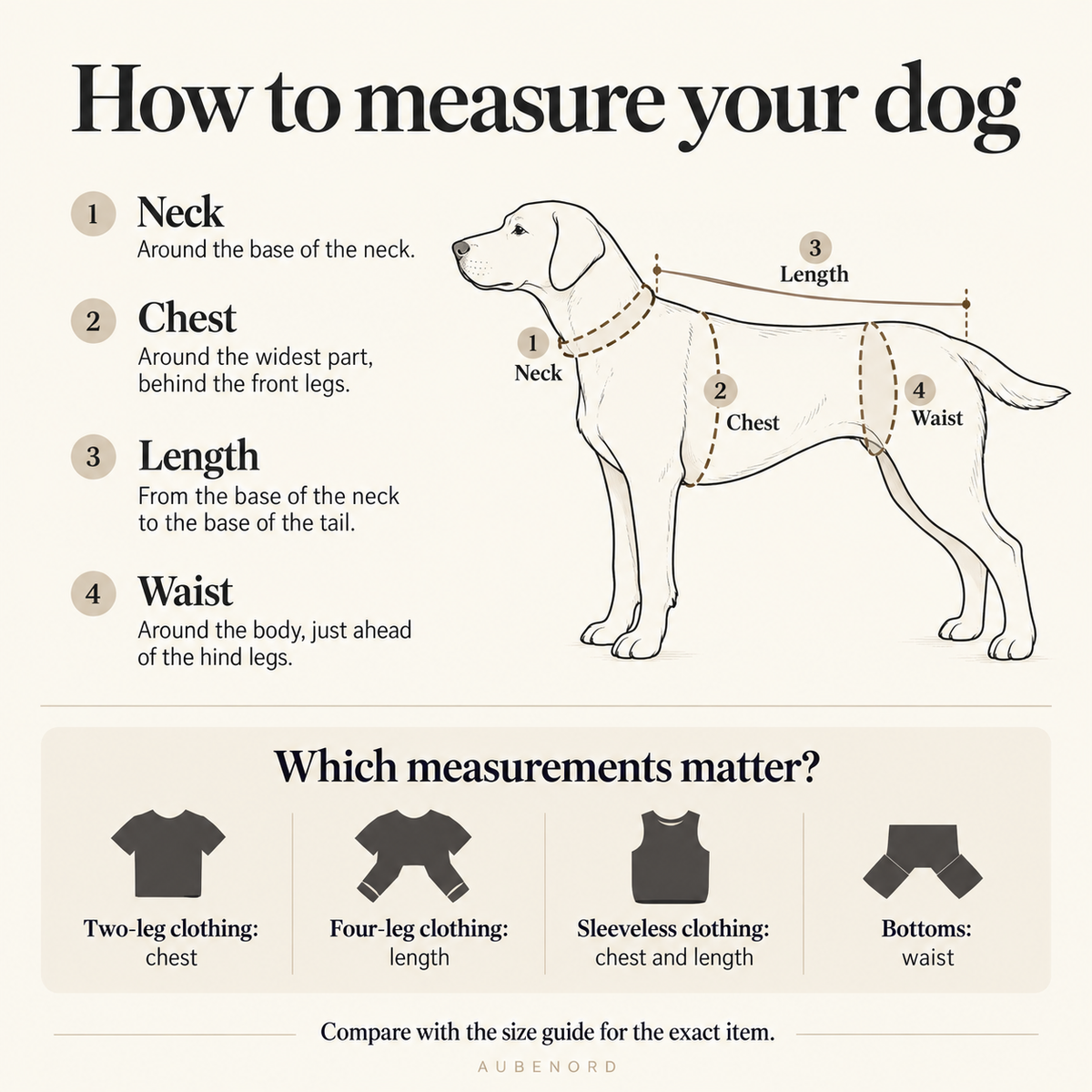 How to measure a dog’s neck, chest, back length and waist for clothing