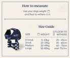 Balto Lux shoulder brace fitted across both shoulders and chest