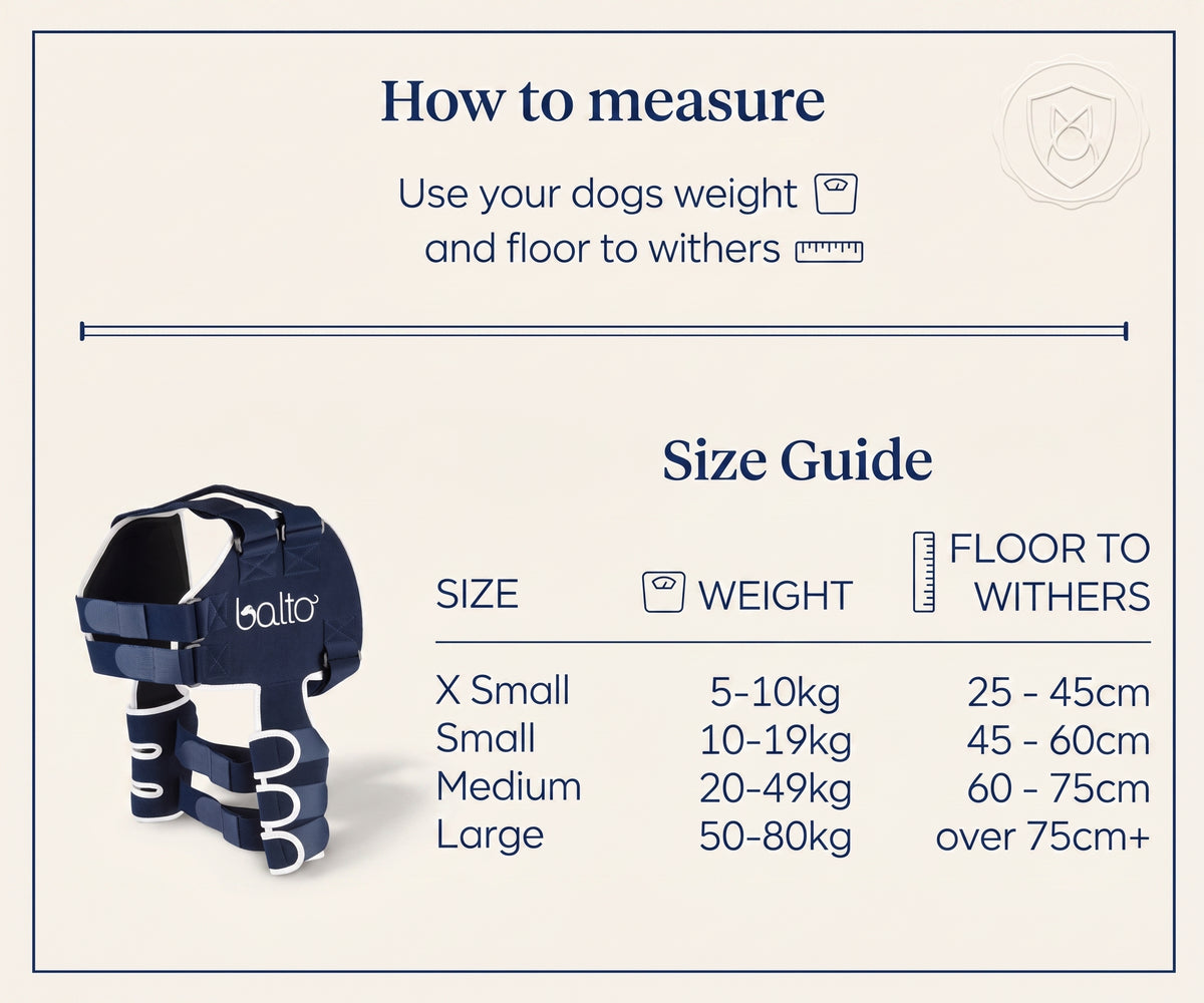 Balto Lux shoulder brace fitted across both shoulders and chest