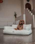 Small brown dog sitting on the By Teddy Teddington dog sofa bed in cream bouclé fabric