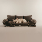By Teddy XL Cosy Dog Car Seat in Chocolate with a dog lying in the full-width sherpa travel bed