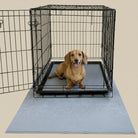 Drymate waterproof dog crate mat with protective waterproof backing