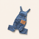 French Bulldog denim dungarees product detail
