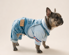 French Bulldog wearing blue denim dungarees and a light blue shirt on a plain cream background