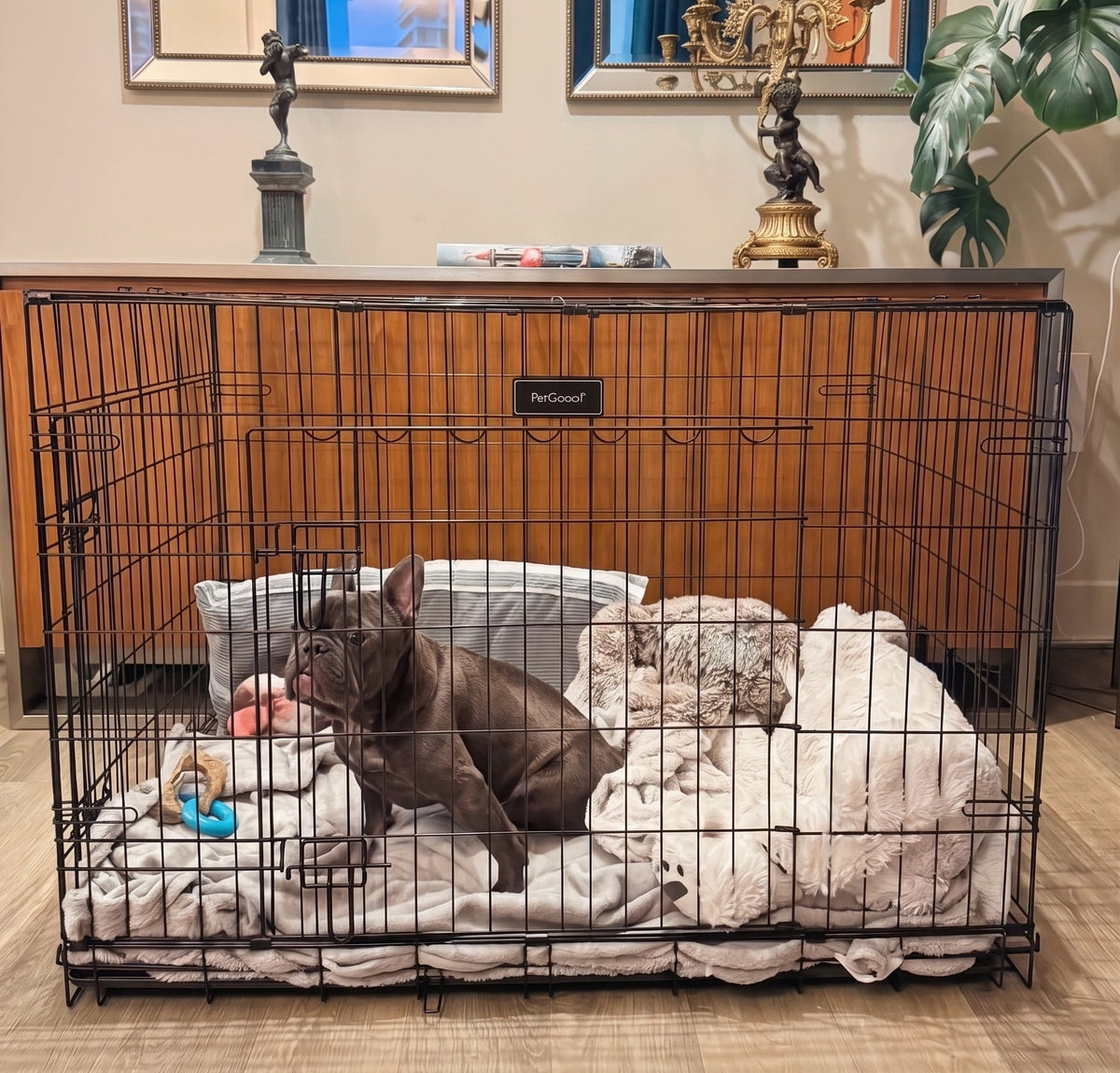 FurDreams 42-inch folding double-door dog crate used in Loui’s recovery setup