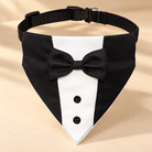 GOYOSWA tuxedo bandana showing the adjustable nylon collar and buckle