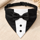 Close-up of the GOYOSWA tuxedo bandana bow tie, fabric and two buttons