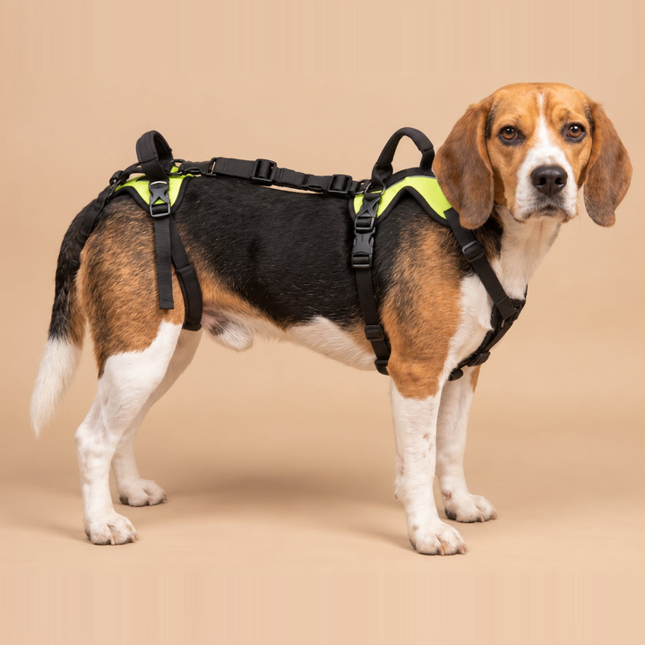 Help ’Em Up Dog Harness | Full-Body Lifting Support