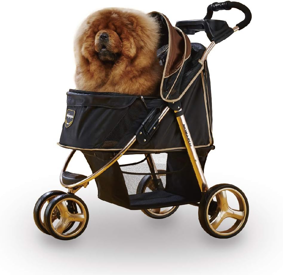 Dog sitting in a black Ibiyaya Monarch pet stroller with a gold frame