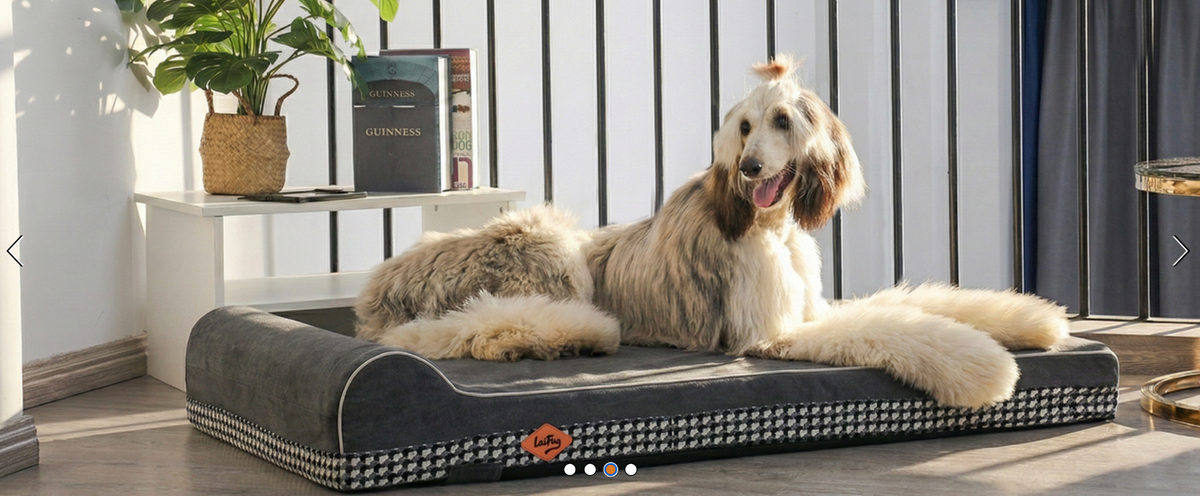 Large dog resting on a Laifug orthopedic dog bed in a home setting